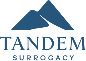 tandem-logo-blue
